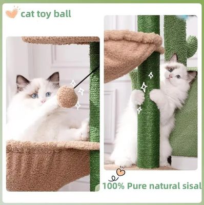 Jouet de maison à rayures de chat Petit chat vert Arbre de cactus Chaton rayureur pour chats d'intérieur