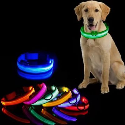 Collier de chien réglable étanche à l'eau éclairant pour la marche de nuit personnalisé