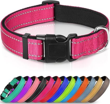 Collier de chien réglable étanche à l'eau éclairant pour la marche de nuit personnalisé