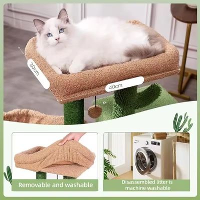 Jouet de maison à rayures de chat Petit chat vert Arbre de cactus Chaton rayureur pour chats d'intérieur
