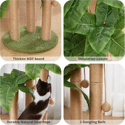 Cat indoor Cat vert durable Tour d'arbre avec chat qui se gratte Dormant jouant condo