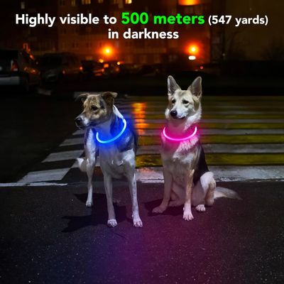Collier de chien lumineux acceptable pour animaux de compagnie étanche et durable