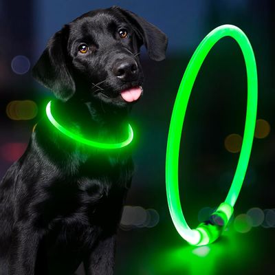 Collier pour chien résistant à l'eau rechargeable USB pour la marche et l'entraînement de nuit