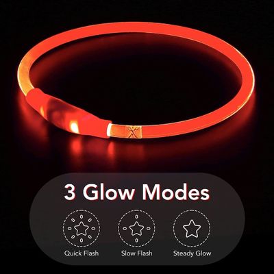 Collier pour chien résistant à l'eau rechargeable USB pour la marche et l'entraînement de nuit