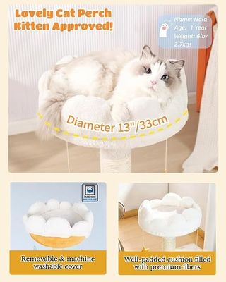 La tour de chat pour petits chats et animaux