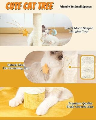 La tour de chat pour petits chats et animaux