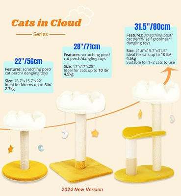 La tour de chat pour petits chats et animaux