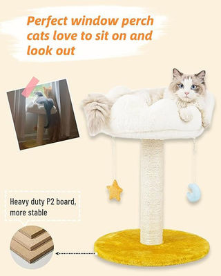 La tour de chat pour petits chats et animaux