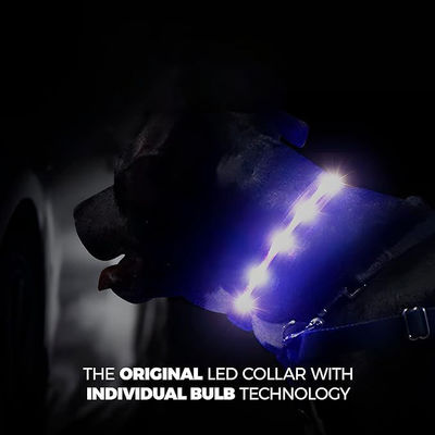 Service de personnalisation fourni Collier pour chien LED en silicone rechargeable USB imperméable