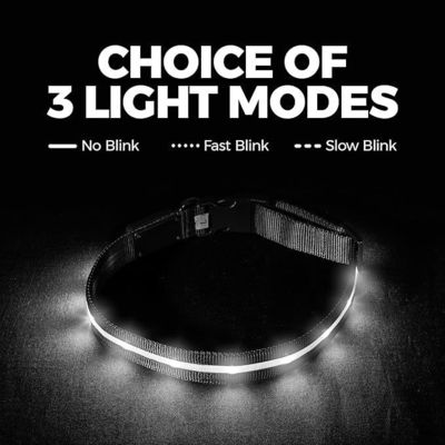 Service de personnalisation fourni Collier pour chien LED en silicone rechargeable USB imperméable
