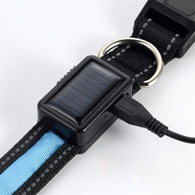 Collier de chien LED réglable USB rechargeable super lumineux pour chiens actifs