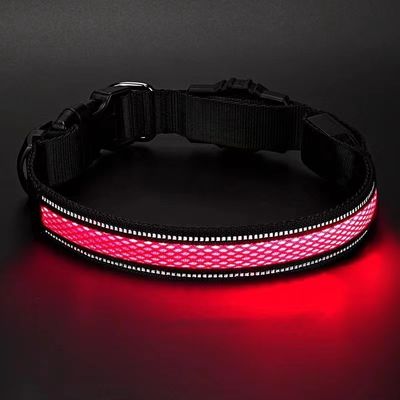 Collier de chien LED réglable USB rechargeable super lumineux pour chiens actifs