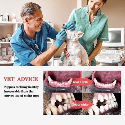 Non toxique Amical de l'environnement Chien d'animaux de compagnie grincant Jouet interactif à mâcher pour nettoyer les dents
