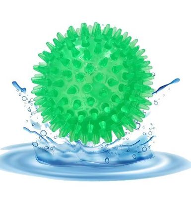TPR Ballon de nettoyage des dents grincantes Jouet de chien pour entraînement et mastication des dents des animaux de compagnie