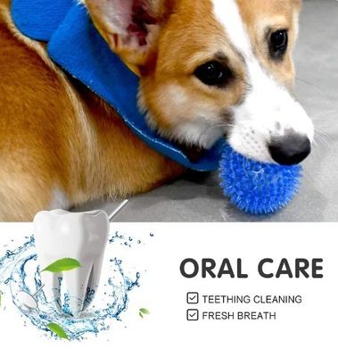 Logo personnalisé Acceptable Meilleur vendeur TPR Jouet à chiens et animaux de compagnie