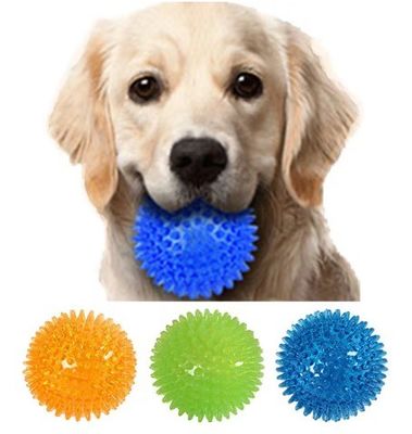 Logo personnalisé Acceptable Meilleur vendeur TPR Jouet à chiens et animaux de compagnie