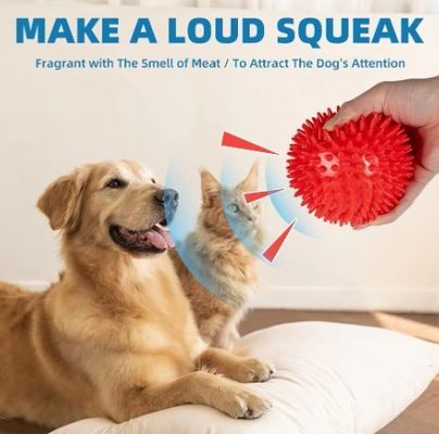 Jouets pour chiens non toxiques et respectueux de l'environnement TPR chien boules de jouets à mâcher pour le nettoyage des dents