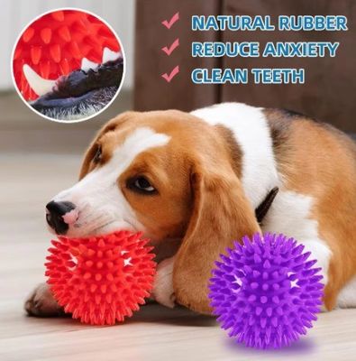 Jouets pour chiens non toxiques et respectueux de l'environnement TPR chien boules de jouets à mâcher pour le nettoyage des dents