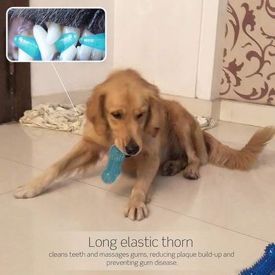 Jouet à os de chien TPR Jouet à mâcher durable pour mâcheurs agressifs Nettoyage et entraînement des dents