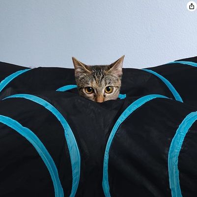 Service de personnalisation fourni 4 façons de chat lit tunnel pop-up pliable jouet tube pour animaux de compagnie
