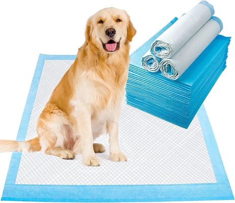 Pad d'urine d'échantillon gratuit personnalisé pour chien à l'arrière du côté imperméable à l'eau sanitaire formation en urine pour chien