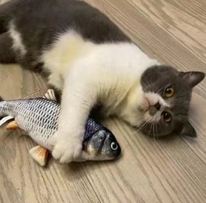 Catnip Plush Jouet de chat électrique pour le jeu durable et interactif