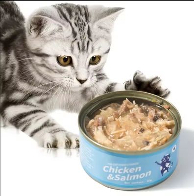 Produit de marque personnalisé, protéines humides, conserves pour chats, santé et saveurs multiples