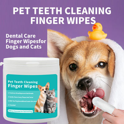 Des lingettes pratiques pour nettoyer les dents des animaux pour les chats et les chiens