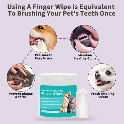 Des lingettes pratiques pour nettoyer les dents des animaux pour les chats et les chiens