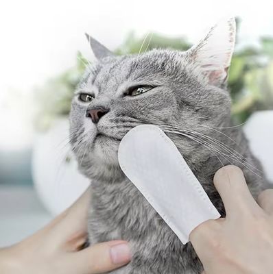 Nettoyage buccal pratique et efficace avec des lingettes humides à manches à doigts à parfum naturel