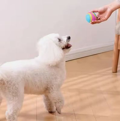 Non toxique, respectueux de l'environnement, boîte à chiens interactive, durable, à mâcher