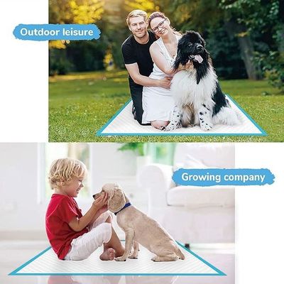 Des coussins imperméables jetables Pour chiots, séchage rapide, absorption d'urine 56*56 cm