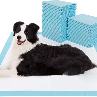 100 emballages d'oreillers jetables respirants pour animaux avec absorbant et étanche
