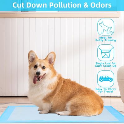 Urination de chien jetable à séchage rapide sous coussin avec matériau durable