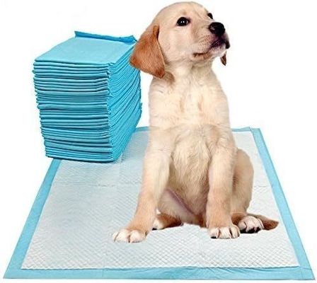 Petits animaux style sain toilettes intérieures entraînement Pet Piss Pad Absorbant 56 x 56 cm