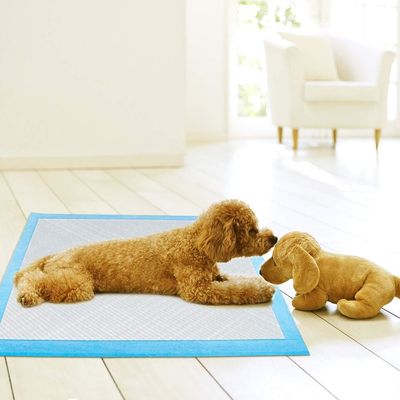 Des coussins d'entraînement jetables durables 56x56CM pour animaux de compagnie, des coussins pour chiens, des coussins pour chiens