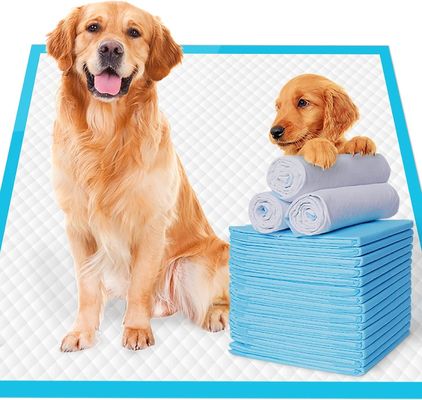 Pad d'urine pour chien d'entraînement pour l'absorption durable sans fuite des toilettes pour animaux de compagnie