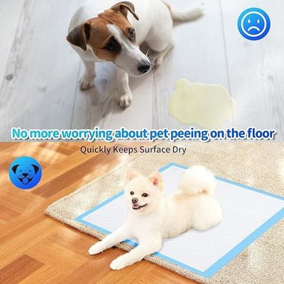 Chiens, chats, etc. Animaux domestiques Tissu étanche lavable pour animaux pour l'entraînement à l'absorption des urines