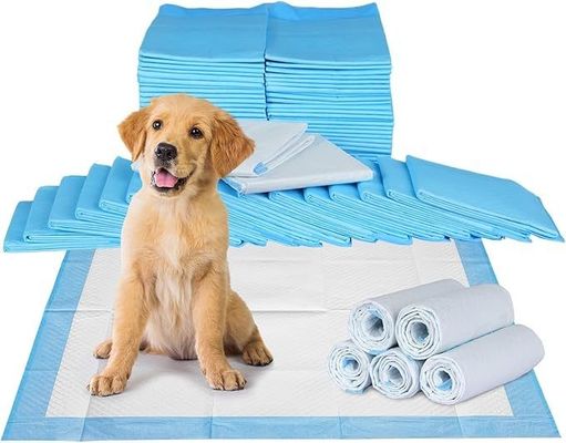 Matine d'entraînement durable pour chiens