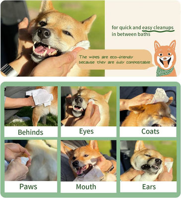 Des lingettes douces pour animaux de compagnie pour le nettoyage des yeux et du cérumen en blanc ou personnalisées biodégradables