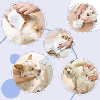 Seringues pour animaux de compagnie avec une formule naturelle à base de plantes biodégradable et inoffensive