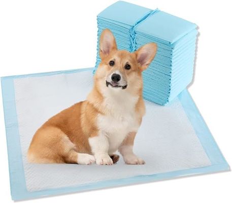 Extra-grands coussinets jetables pour chiens 56x56cm pour l'entraînement quotidien de la saison