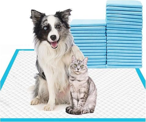 Des coussins jetables pour animaux de compagnie 56x56cm Grandes coussins pour chiots et animaux