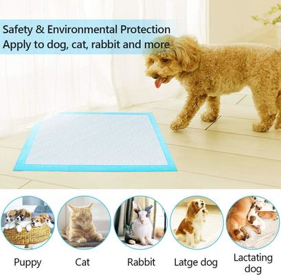 Des coussins jetables pour animaux de compagnie 56x56cm Grandes coussins pour chiots et animaux