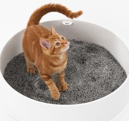 Facilité de nettoyage et de contrôle des odeurs Pet Tofu Litter de chat avec service de personnalisation fourni