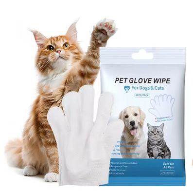 Logo personnalisé Acceptable 6PCS Pack Gants de nettoyage pour animaux de compagnie pour le toilettage PET lingettes humides