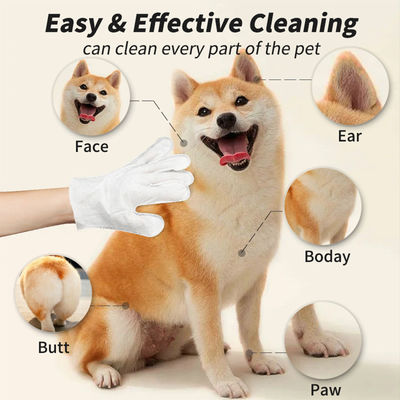 Logo personnalisé Acceptable 6PCS Pack Gants de nettoyage pour animaux de compagnie pour le toilettage PET lingettes humides