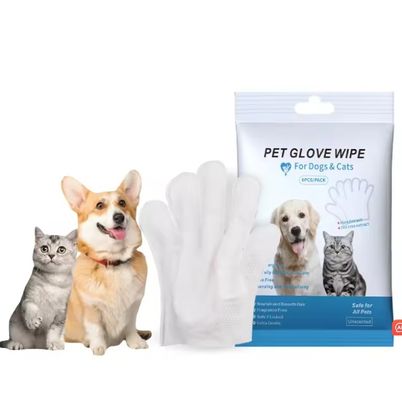 9.6in*12.6in Taille de feuille Gants de toilettage pour animaux de compagnie pour la vie quotidienne Ecologique et jetable