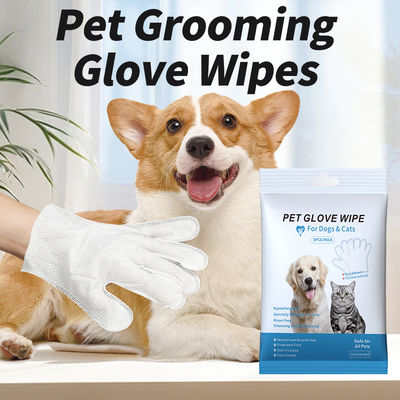 Logo personnalisé Acceptable Gants de toilettage pour animaux de compagnie non tissés pour chiens et chats 6 pièces/1 sac