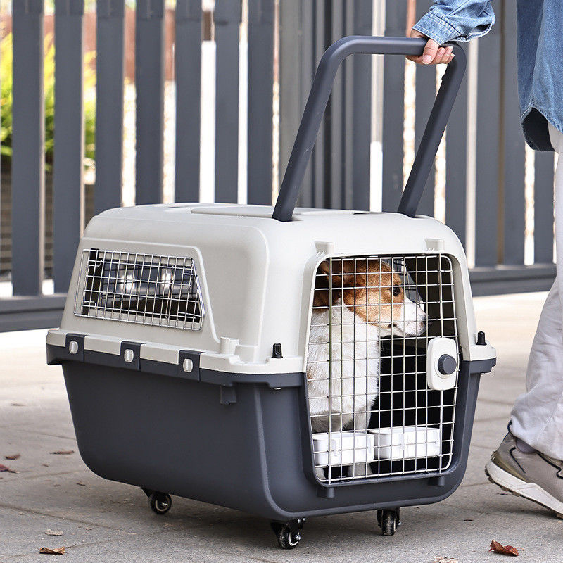 Bouton fermé Sac portable pour animaux de compagnie Cage pour chats de grande capacité pour produits de voyage